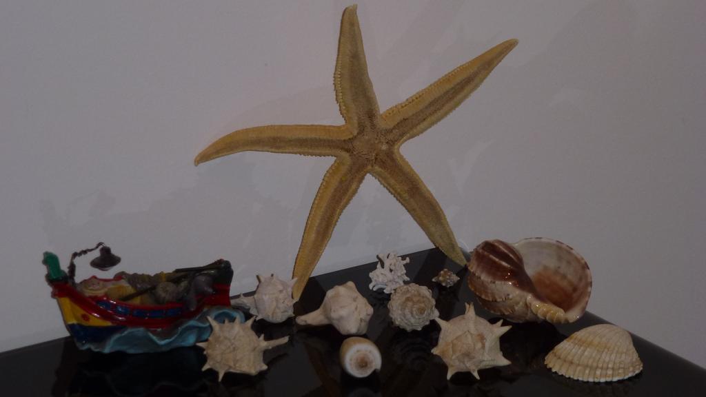 Sea Star Cefalù Quarto foto